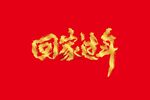 回家过年