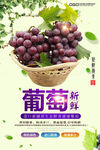 葡萄