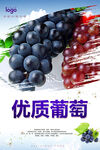 葡萄