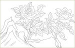月季花