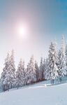 山顶积雪风景玄关画