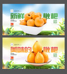 枇杷