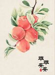 彩绘苹果