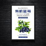 有机蓝莓水果海报灯箱广告