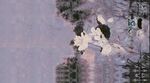 数码印花