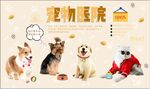 宠物医院简约工装