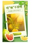 柚子海报图片