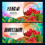 红醋栗