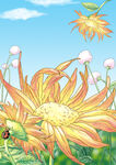 手绘水彩太阳菊