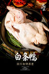 白条鸭海报