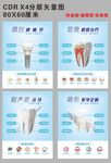 口腔科牙科挂图
