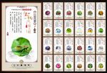 二十四节气