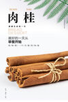 肉桂海报
