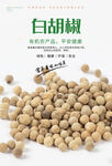 白胡椒海报