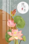 荷花韵