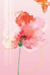 花卉