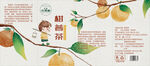 新会陈皮柑普茶包装茶叶罐展开图