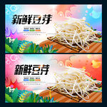 豆芽