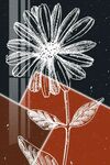 菊花装饰画