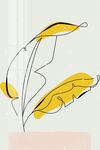 芭蕉叶
