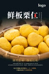 鲜板栗仁海报
