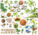 椰树椰子