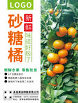 砂糖橘海报