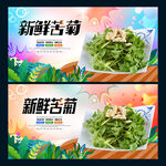 苦菊
