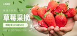 草莓采摘海报