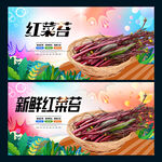 红菜苔