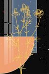 菊花装饰画