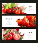 西红柿海报