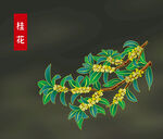 桂花