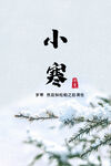 小寒海报