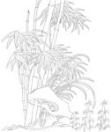 竹林