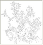 牡丹