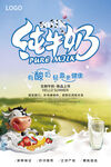 纯牛奶海报