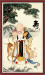 老寿星