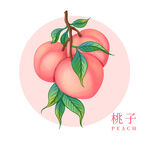 手绘桃子插画包装