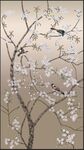 花鸟手绘原稿