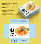 橘子包装 桔子盒子
