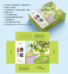 梨子包装 梨子盒子