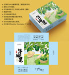 牛油果包装 水果盒子