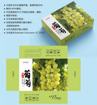 葡萄包装 水果盒子