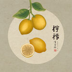 手绘柠檬