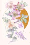 百合花