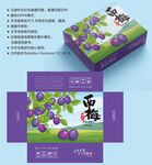 西梅包装 水果盒子