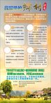乡村宣传