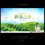 新茶上市