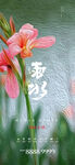 雨水  清明 谷雨 